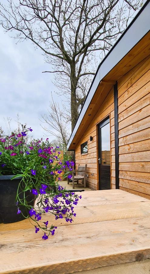 Holiday home Buiten Aan De Vaart 2 *